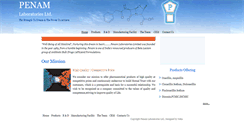 Desktop Screenshot of penam.in